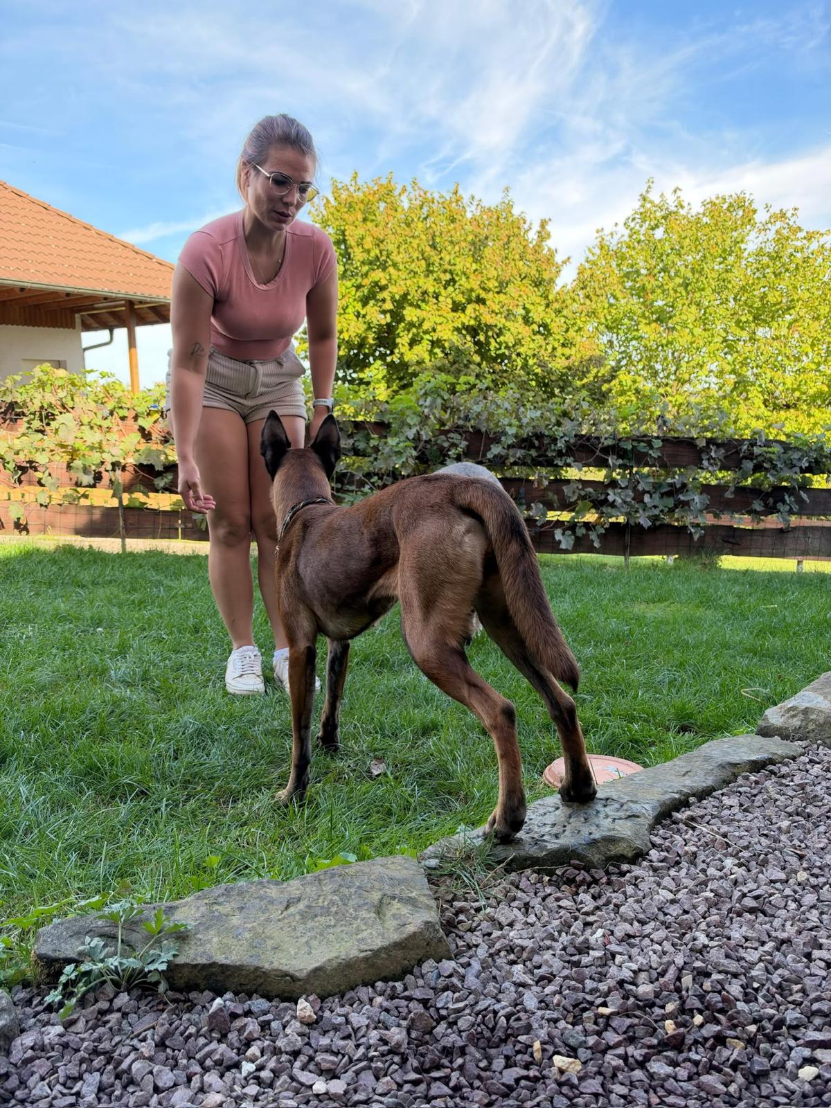 Vertrauensvolle Kommunikation zwischen Mensch und Hund.